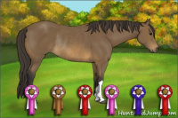 Horse Color:Buckskin Rabicano 