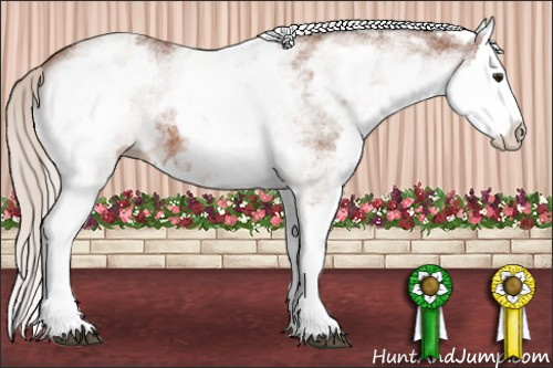 Horse Color: White Spotted Silver Bay Splash 