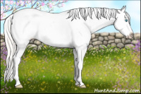 Horse Color:White Spotted Silver Buckskin Pearl Frame Appaloosa Rabicano 