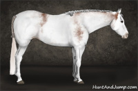 Horse Color:White Spotted Silver Bay Splash 