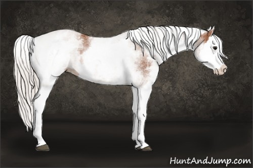 Horse Color: White Spotted Silver Bay Splash 