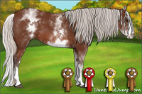 Horse Color:White Spotted Silver Bay Splash 
