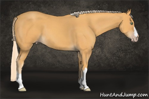 Horse Color: Gold Cream Champagne 