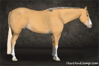 Horse Color:Gold Cream Champagne 