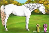 Horse Color:Buckskin Blanket 
