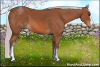 Horse Color:White Spotted Silver Bay Splash 