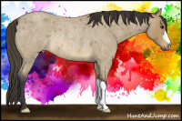 Horse Color:Buckskin Roan Rabicano 
