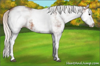 Horse Color:White Spotted Silver Bay Splash 