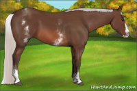 Horse Color:White Spotted Silver Brown Splash 