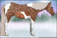 Horse Color:Silver Bay Ice Tobiano