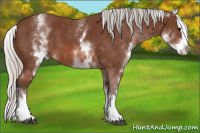 Horse Color:White Spotted Silver Bay Splash