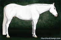 Horse Color:White Spotted Silver Bay Splash 