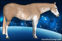 Horse Color:Liver Red Dun Sabino Splash