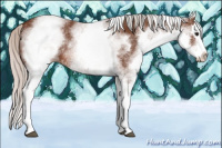Horse Color:White Spotted Silver Bay Splash 