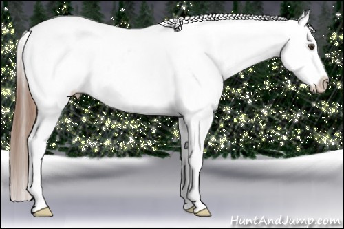 Horse Color: Liver Chestnut Tobiano Blanket 