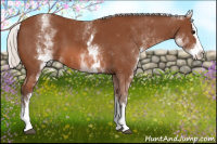 Horse Color:White Spotted Silver Bay Splash 