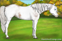 Horse Color:White Spotted Silver Bay Splash 