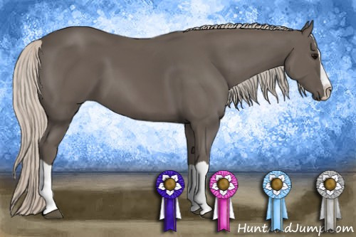 Horse Color: Silver Black Splash 