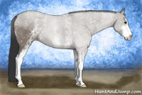 Horse Color:White Spotted Grullo Sabino 