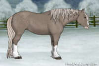 Horse Color:Silver Grullo Splash