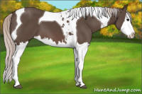 Horse Color:Silver Black Splash Tobiano 