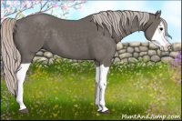 Horse Color:Silver Black Splash 