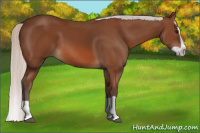 Horse Color:Silver Bay Splash 