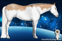 Horse Color:Silver Black Pearl Splash