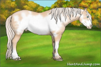 Horse Color:Chocolate Palomino Pearl Frame