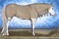 Horse Color:Silver Grullo Splash