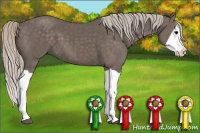 Horse Color:Silver Black Splash 