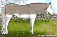 Horse Color:Silver Grullo Splash