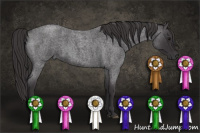 Horse Color:Buckskin Roan 