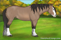 Horse Color:Bay Roan Dun Splash