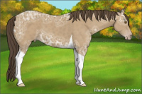 Horse Color:Classic Cream Champagne Ice Sabino Tobiano