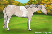 Horse Color:Silver Grullo Ice Tobiano 