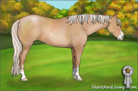 Horse Color:Silver Black Pearl Sabino