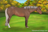 Horse Color:Silver Black Sabino 