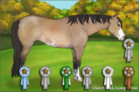 Horse Color:Bay Dun Sabino 