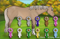 Horse Color:Silver Grullo