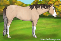 Horse Color:Amber Champagne Roan Splash