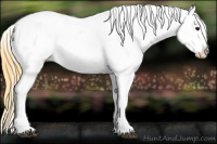 Horse Color:Buckskin Splash Tobiano Near Leopard Rabicano 