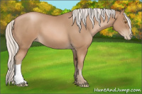 Horse Color:Silver Black Pearl 