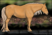 Horse Color:Palomino 