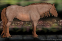 Horse Color:Liver Red Roan 