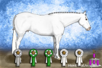 Horse Color:Palomino Appaloosa