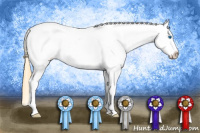 Horse Color:White Spotted Buckskin Roan Frame Appaloosa 