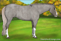 Horse Color:Silver Blue Roan Splash