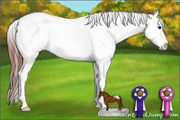 Horse Color:White Spotted Brown Splash Frame Appaloosa 