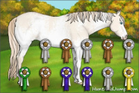 Horse Color:White Spotted Perlino Dun 